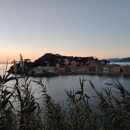 Apartamento La Vie En Rose Flat Sestri Levante Exterior foto