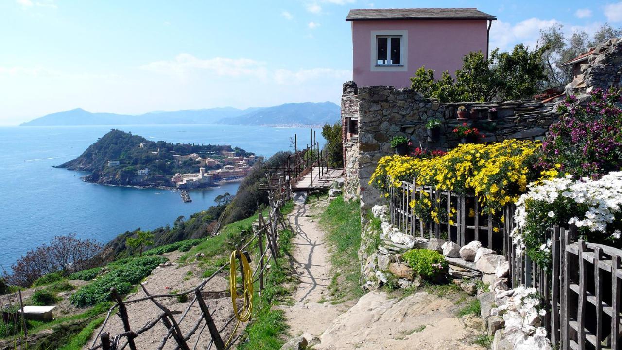 Apartamento La Vie En Rose Flat Sestri Levante Exterior foto
