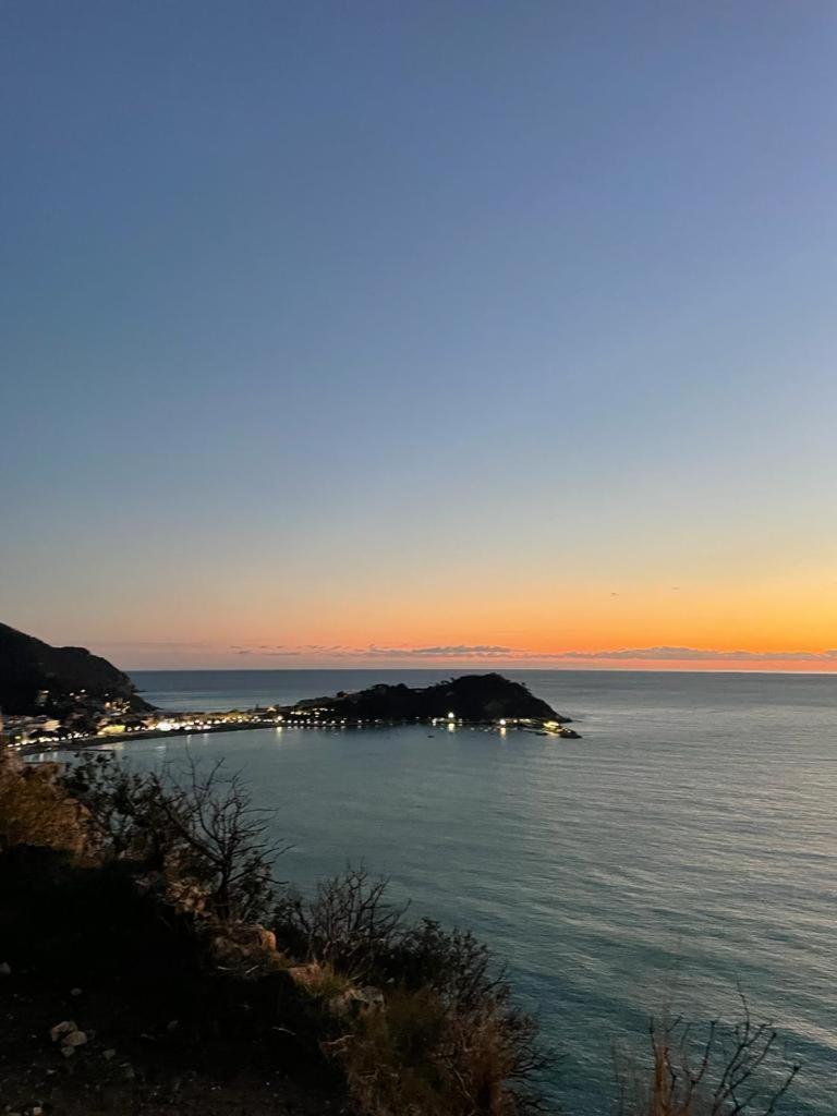 Apartamento La Vie En Rose Flat Sestri Levante Exterior foto